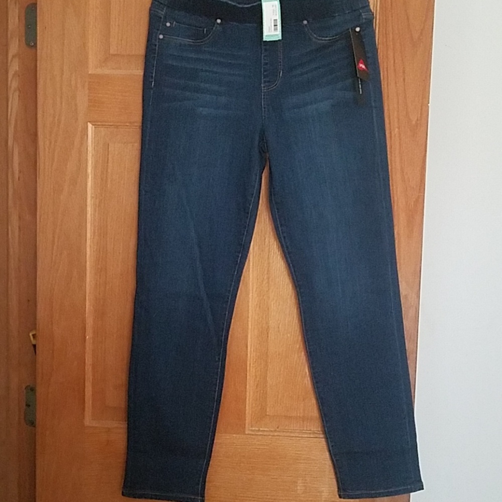 NWT Liverpool Fae Straight Leg Jean Size 10